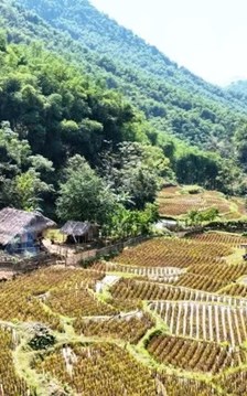 “Đánh thức” Pù Hu thành điểm đến xanh của xứ Thanh