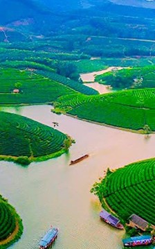 Nghệ An chấm dứt hoạt động dự án du lịch nghỉ dưỡng hơn 1.500 tỉ đồng 