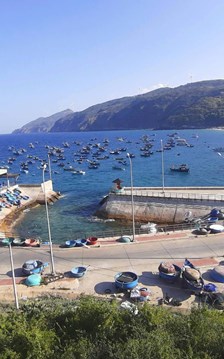 Gia Lai triển khai xây dựng mô hình cảng cá kết hợp phát triển du lịch