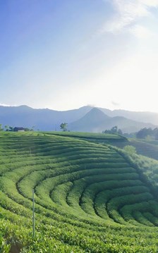 La Bằng thức giấc cùng du lịch xanh dưới chân Tam Đảo