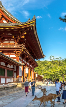 Văn hoá đặc sắc tạo nên sức hút bền bỉ cho thành phố Nara (Nhật Bản)