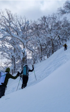 Thiên đường tuyết Nhật Bản thu hút khách du lịch