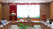 Hoàn thiện hành lang pháp lý đối với căn hộ du lịch, căn hộ khách sạn