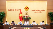 Tạo lập khuôn khổ pháp lý ổn định, đột phá và khả thi thúc đẩy phát triển TP.HCM, đô thị đặc biệt