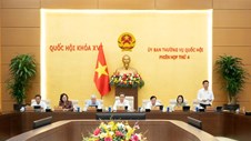 Ủy ban Thường vụ Quốc hội cho ý kiến về định hướng sửa đổi Luật Đất đai năm 2024