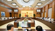 Luật Đấu giá tài sản (sửa đổi) siết tình trạng “cò mồi”, bỏ cọc
