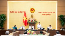 Ủy ban Thường vụ Quốc hội cho ý kiến về dự án Bộ luật Hình sự (sửa đổi)