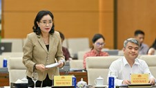 Ủy ban Thường vụ Quốc hội cho ý kiến về dự án Luật sửa đổi, bổ sung một số điều của 7 luật trong lĩnh vực văn hóa, thể thao và du lịch