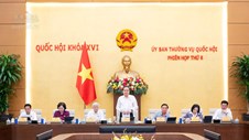 Kiên quyết khắc phục tư duy cục bộ, lợi ích ngành, lĩnh vực