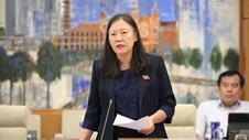 Cử tri quan tâm chuyển đổi số, đưa di sản văn hóa đến gần công chúng