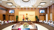 Tăng cường kiểm tra, giám sát trong hoạt động đấu thầu