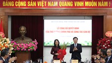 Phó Chánh Văn phòng Thường trực Văn phòng Trung ương Đảng Lâm Thị Phương Thanh giữ chức Thứ trưởng Thường trực Bộ VHTTDL
