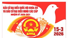 Triển khai công tác bầu cử đại biểu Quốc hội khóa XVI và đại biểu HĐND các cấp 