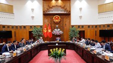 Thủ tướng chủ trì các cuộc họp của Thường trực Chính phủ cho ý kiến một số nội dung quan trọng