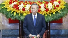Tổng Bí thư, Chủ tịch nước Tô Lâm làm Trưởng Ban Chỉ đạo Trung ương về đối ngoại và hội nhập quốc tế