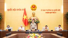 Chủ tịch Quốc hội: Chấm dứt tình trạng luật đã có hiệu lực nhưng văn bản hướng dẫn chậm ban hành