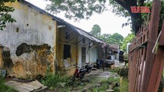 “Sống liều” trong khu nhà sắp đổ nát cạnh di tích Quốc Tử Giám