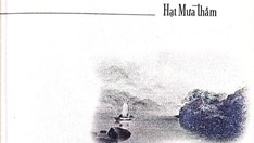 Khi lương tri không thể ngủ yên trước thiên nhiên