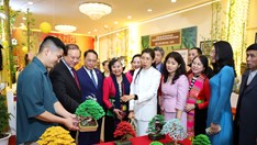 “Hội xuân Bính Ngọ 2026” tưng bừng khai mạc