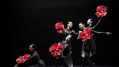 Khai mạc “Mùa Hàn Quốc 2026” – cánh cửa gặp gỡ văn hóa nghệ thuật Hàn Quốc tại Việt Nam