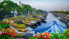 Phát động Cuộc thi ảnh mùa Xuân Bính Ngọ 2026