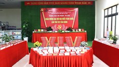 Trưng bày hơn 300 ấn phẩm, tư liệu chào mừng Đại hội lần thứ XIV của Đảng