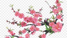 Thơ Tết của Bác