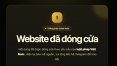 Web phim lậu đồng loạt “biến mất”, người trẻ đổi thói quen xem phim