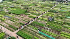Xây dựng thôn nông thôn mới gắn với văn hóa, môi trường và chuyển đổi số
