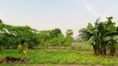 Đại lộ sông Hồng: Những ai phải di dời, được tái định cư ở đâu?