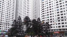 12 dự án Mường Thanh vượt quy hoạch hơn 18.000 căn hộ: Xử lý thế nào?