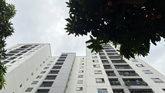 Mua nhà ở xã hội sau 5 năm có được bán theo giá thị trường?