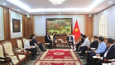 Bộ VHTTDL – MPA: Thúc đẩy hợp tác trong lĩnh vực điện ảnh