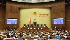 Chính phủ ban hành kế hoạch triển khai thi hành Luật Báo chí