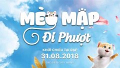 Mèo mập đi phượt- " món mới" cho kỳ nghỉ lễ 2/9