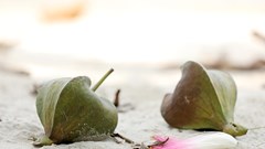 Về Nam Phú Quốc mùa thu, săn hoàng hôn đỏ và cầu vồng trong mưa