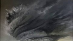 Triển lãm Hư hư thực thực