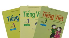 40 năm vẫn còn… thí điểm