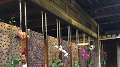 Triển lãm “Lan-Lan” của cặp nghệ sĩ song sinh Le Brothers