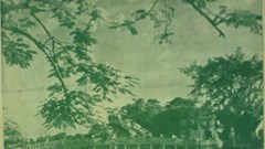 Thật tiếc cho “Hoài niệm Hà Nội phố”