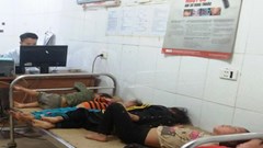 Nghệ An: Cấp cứu 7 người trong một gia đình bị ong rừng đốt nhập viện