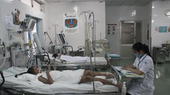 TP.HCM: Nguy cơ bùng phát bệnh tay chân miệng và sốt xuất huyết