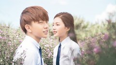 Những lý do nên xem Thạch Thảo