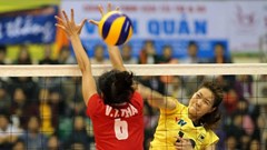 8 đội mạnh dự Giải bóng chuyền chuẩn bị cho Đại hội TDTT toàn quốc