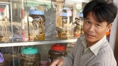 Thử xài “doping” Đồng Hới