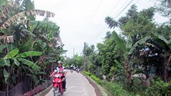 Chính quyền các cấp phải dành nguồn lực nhiều hơn nữa cho Phong trào TDĐKXDĐSVH