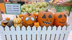 Phát cuồng với bí ngô Halloween khổng lồ lần đầu được trồng ngay tại Việt Nam