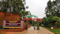 Cần xử lý nghiêm xâm phạm di tích Đền Hùng