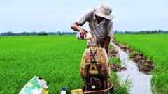 Đừng để tồn dư thuốc bảo vệ thực vật chặn đường xuất khẩu nông sản