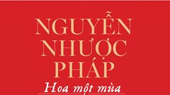 Nguyễn Nhược Pháp không chỉ có "Chùa Hương"